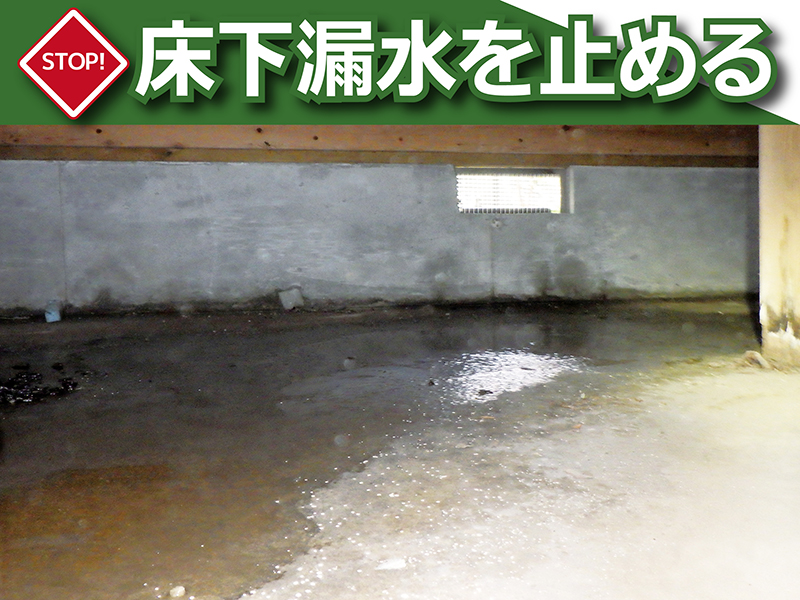 コンクリート基礎の打継部から浸入した基礎内部への漏水。木材の腐れや大量のカビが発生し、住宅被害を及ぼす