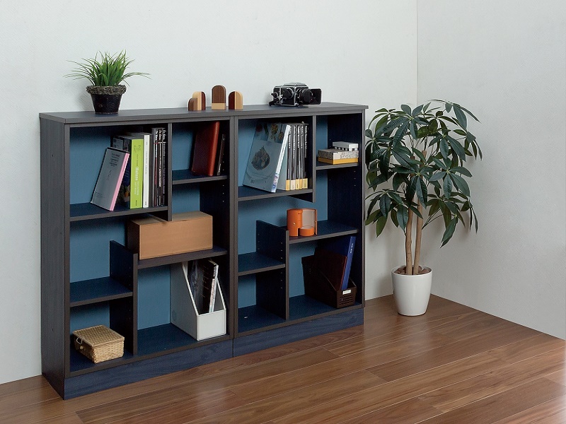 粋彩（すいさい）