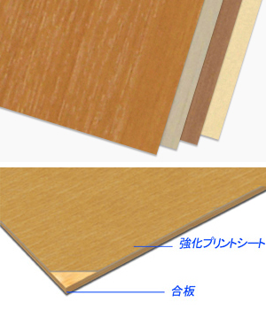 アルプスSSの詳細