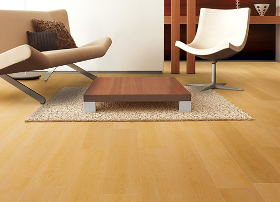 繊細でやさしいベーシックカラー[LFT102]