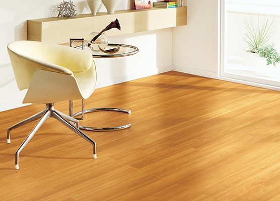 明るく気取らないオレンジ[LFT111]