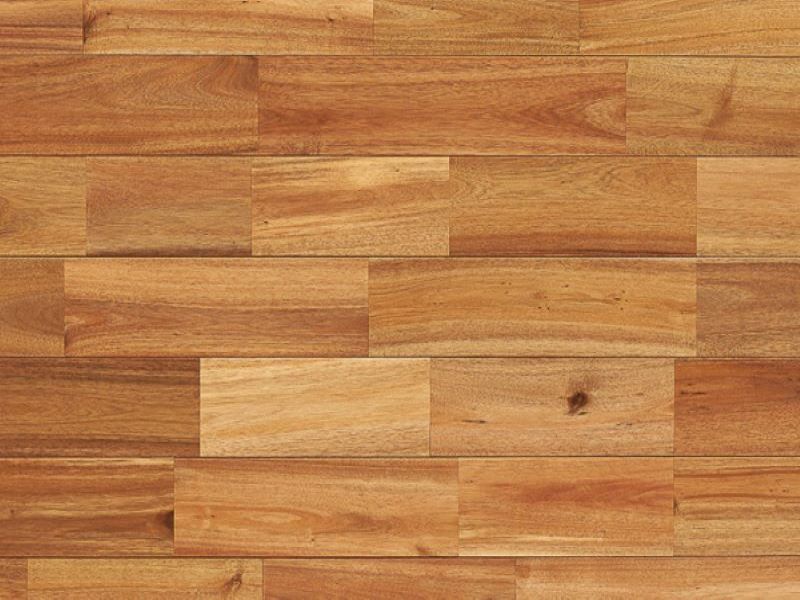 アカシアの詳細