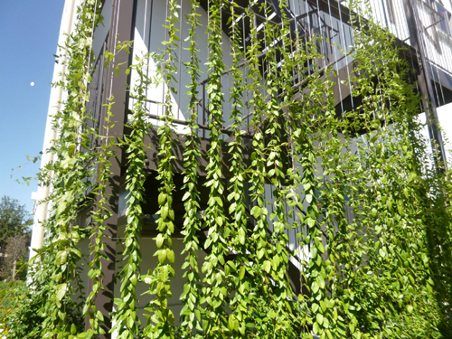 のぼるtoみどりワイヤーの詳細