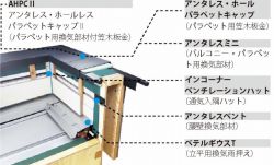 ハウゼコパラペットセット