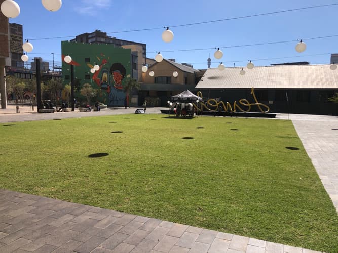 駐車スペース以外にも、マンション緑化、遮熱対策として公園にも最適。