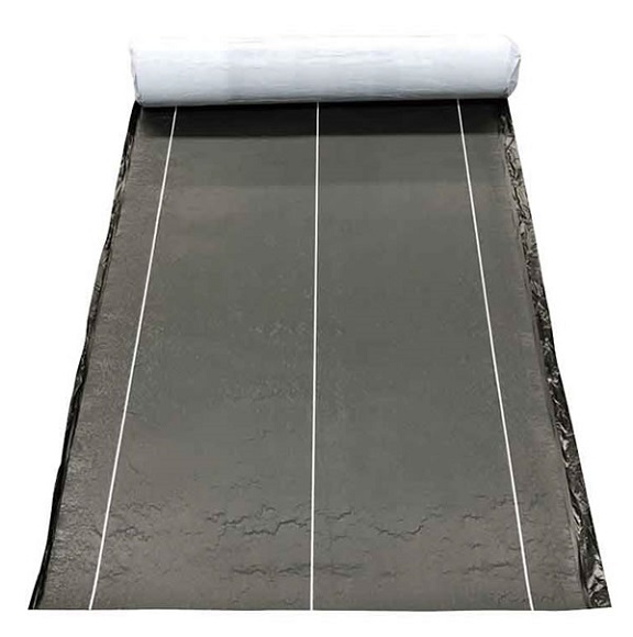 屋根下のルーフィンの詳細