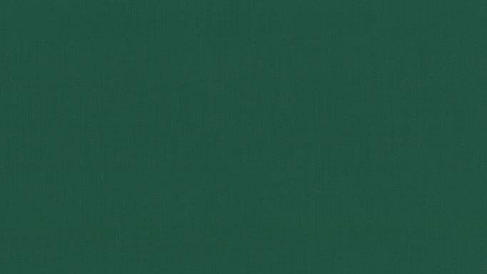 トゥギャザー２の詳細