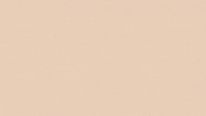 ラッシュの詳細