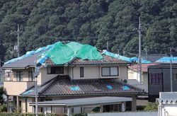 広域災害鑑定サービス