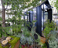 トランスーメタル