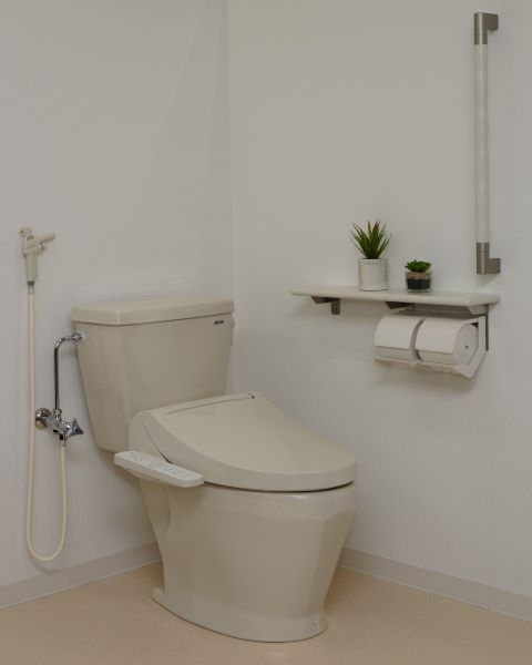 DXAK-570P/N,MB31
手洗なし、洗浄ノズル付（普通）
温水洗浄便座付（脱臭付）
定価295,400円